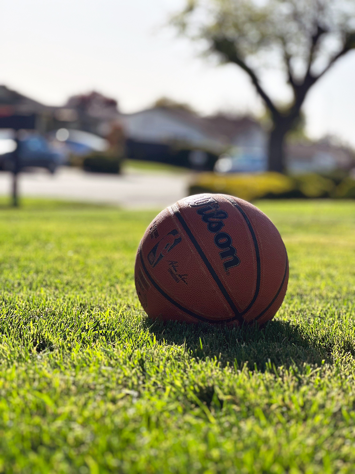 baksetball in grass, JR Hawks Basketball, Greater Napanee Basketball Association