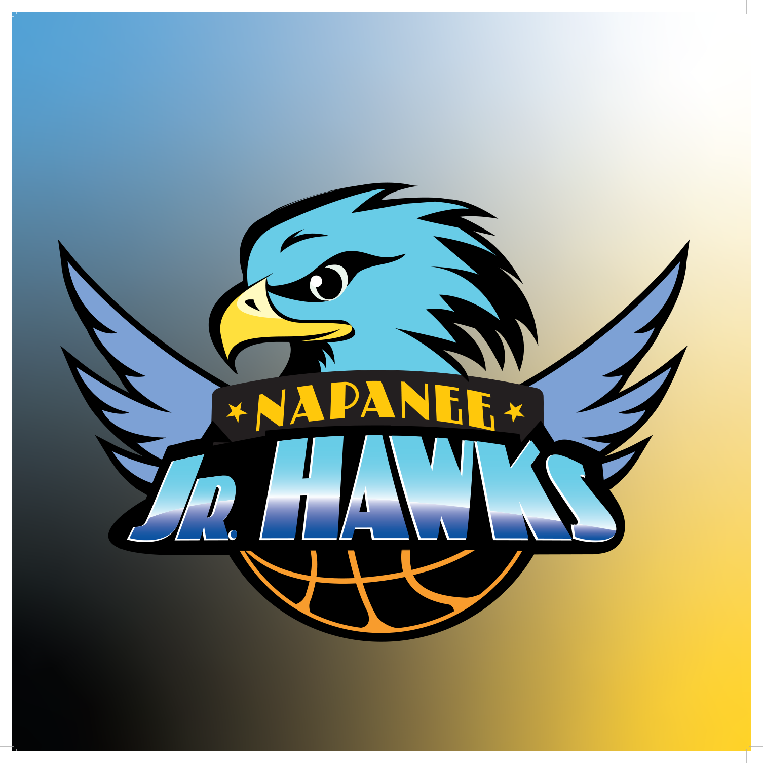 Napanee JR Hawks